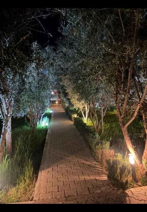 Photo of Outdoor in Dar Oum Soltane