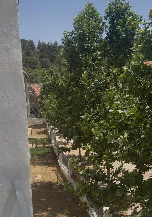 Photo of Others in Ifrane