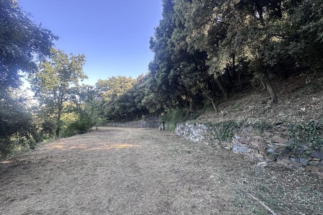 Photo of Others in Sant Pere de Vilamajor
