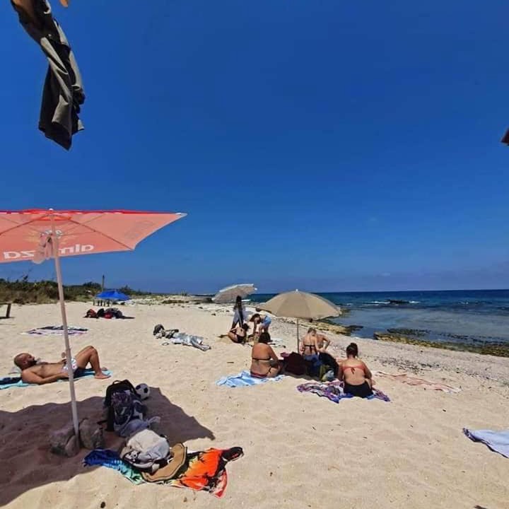Photo of Others in Tripoli