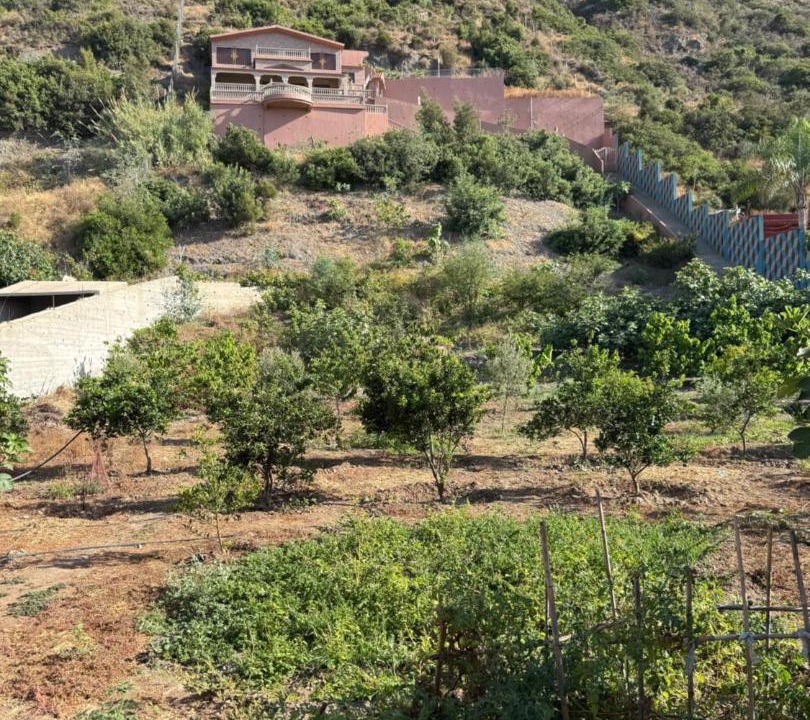 Photo of Others in Amtar