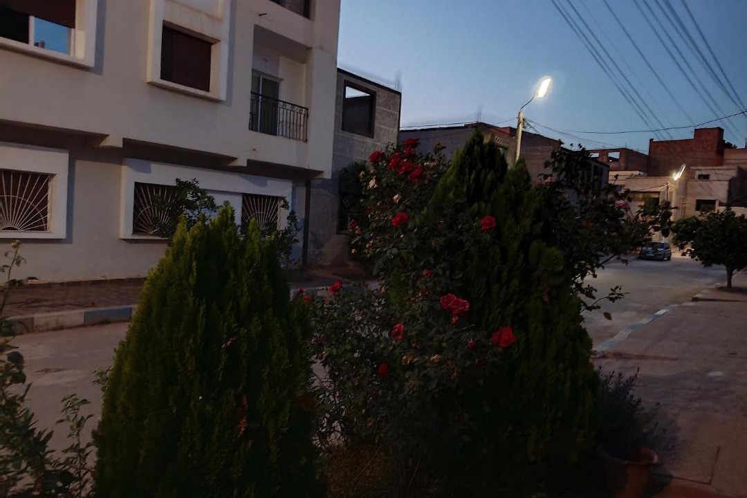 Photo of Others in Berkane