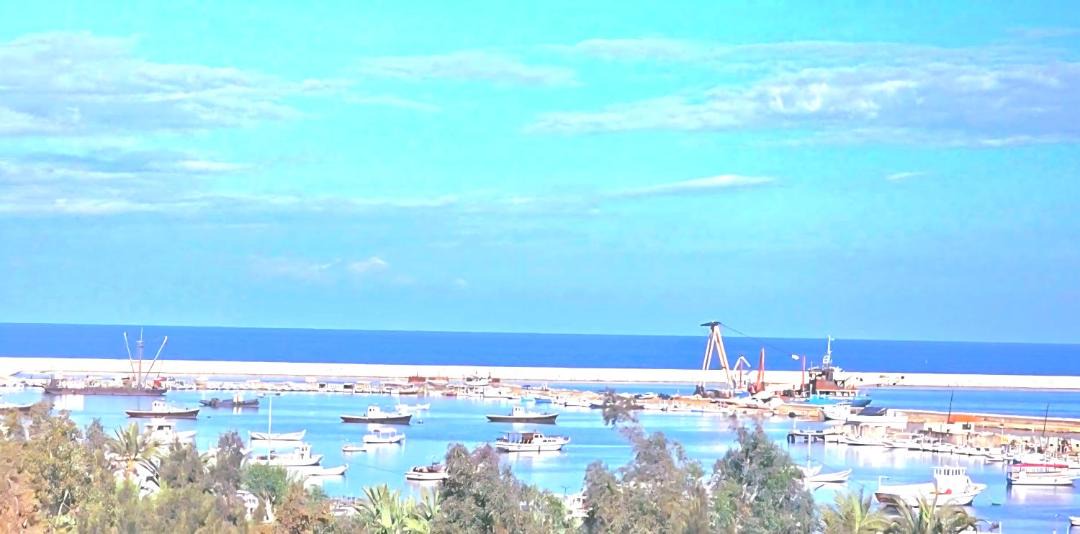 Photo of Others in Tripoli