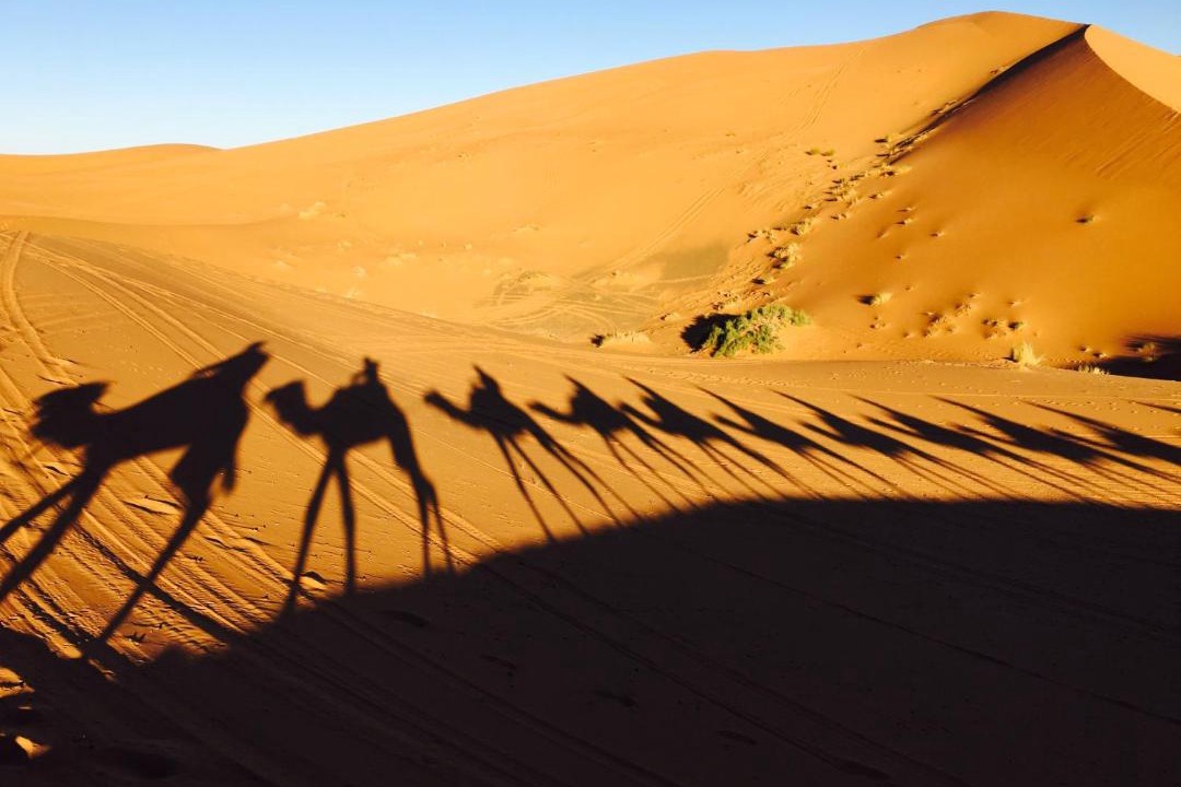 Photo of Others in Hassilabied