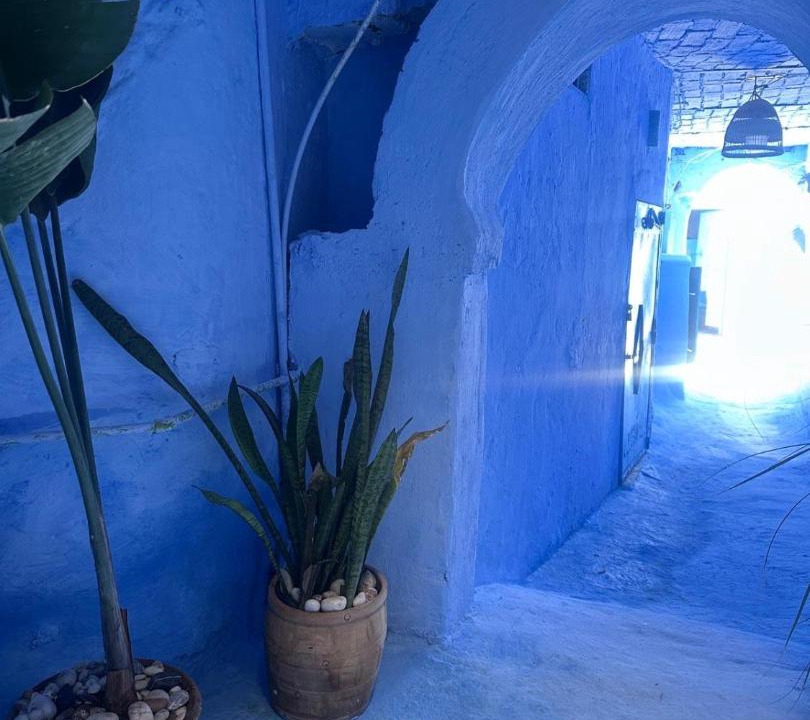 Photo of Others in Medina of Chefchaouen