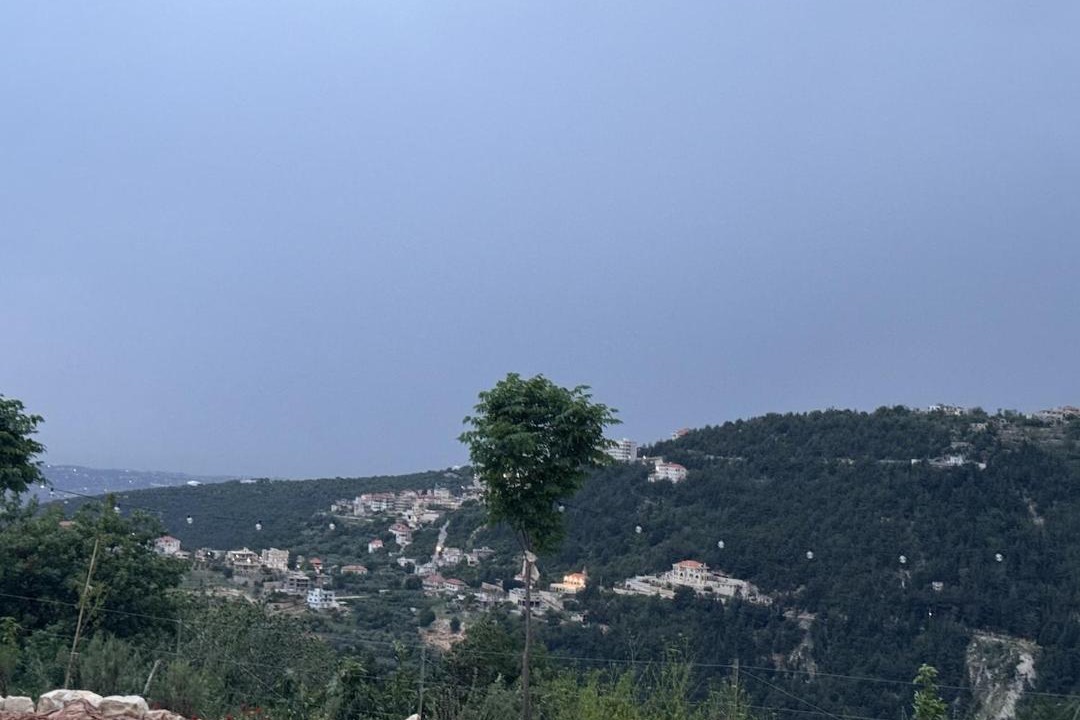 Photo of Others in North Governorate