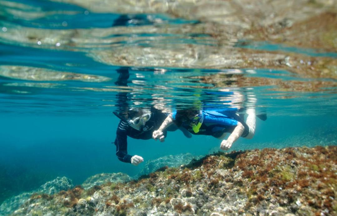 Photo of Others in Roques Daurades