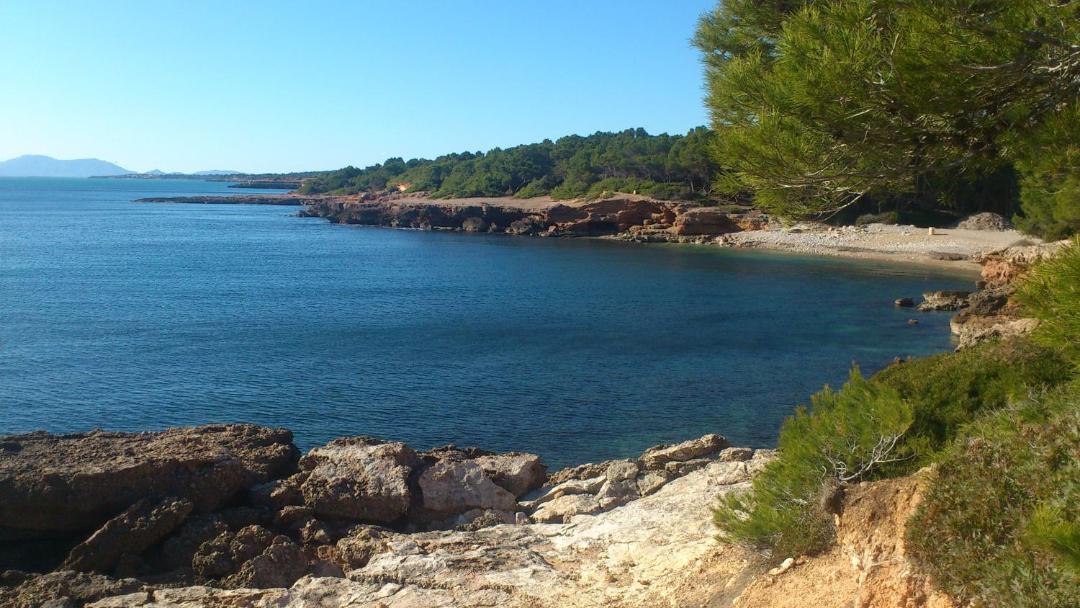 Photo of Others in Roques Daurades