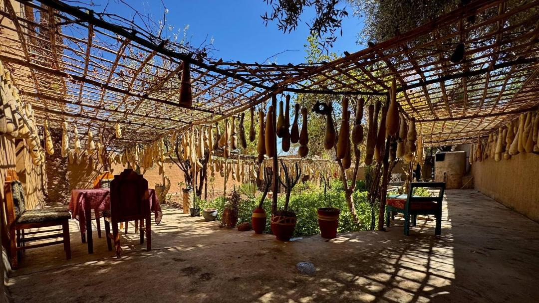 Photo of Others in Skoura