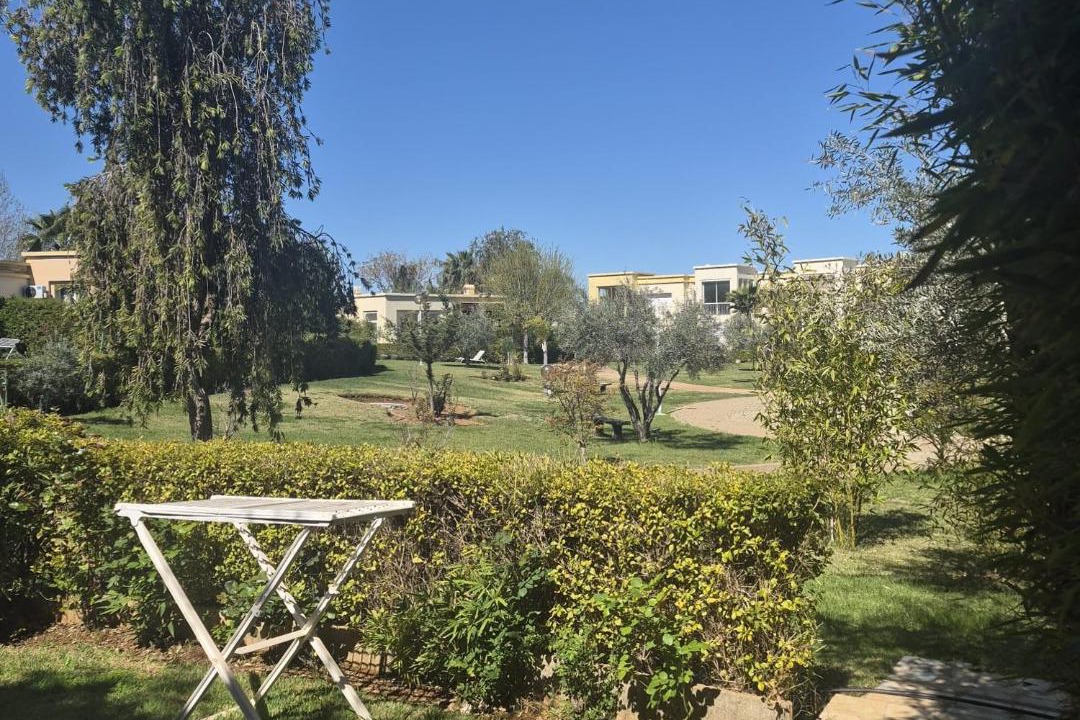 Photo of Others in Ain Cheggag