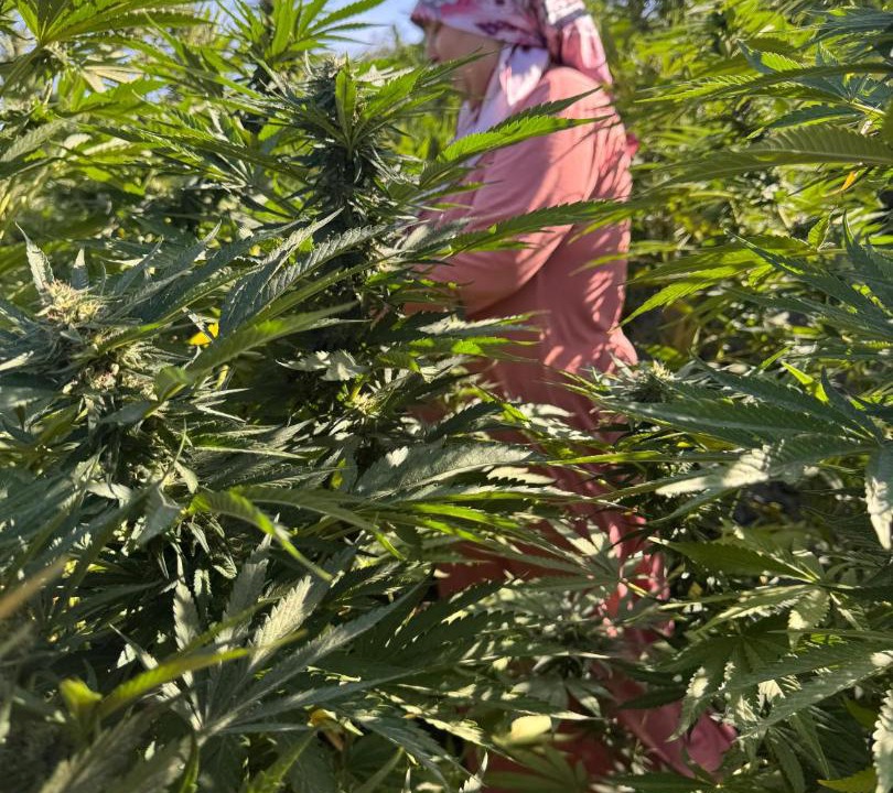 Photo of Outdoor in Ketama