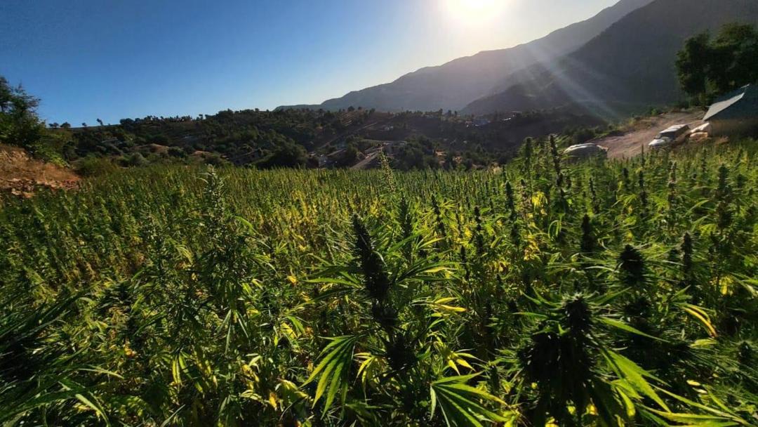 Photo of Outdoor in Ketama