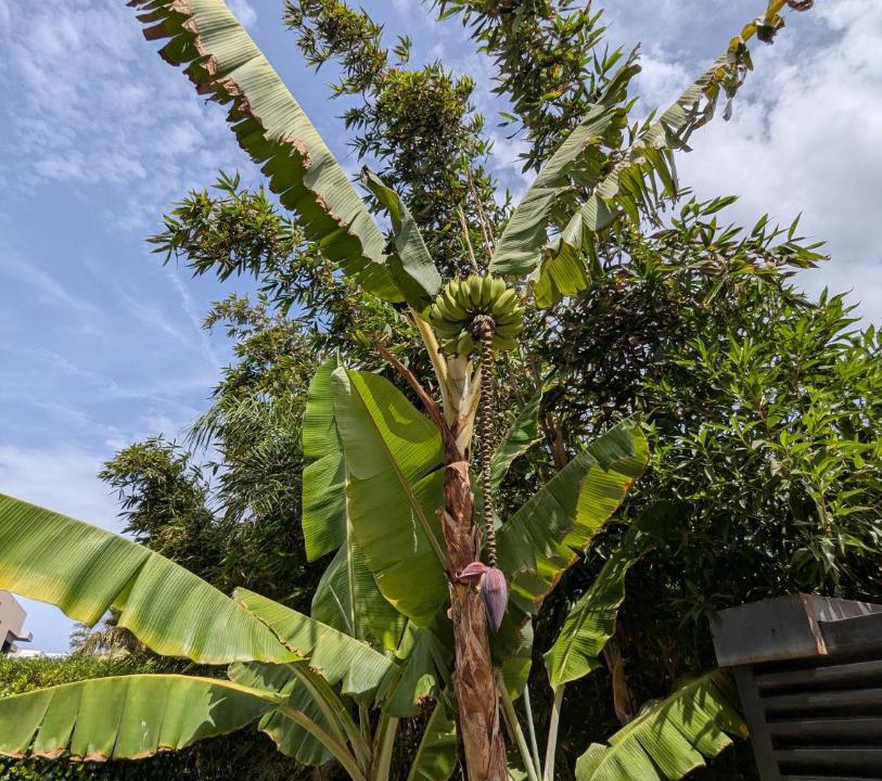 Photo of Outdoor in Dar Bouazza