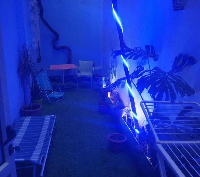 Photo of Others in Chefchaouen