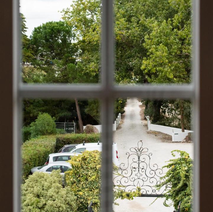 Photo of Others in Mafra