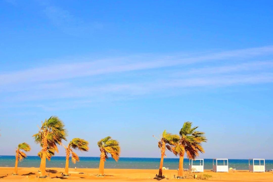 Photo of Others in El Gouna