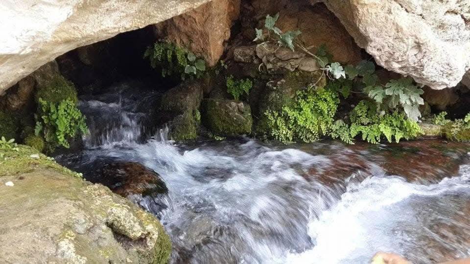Photo of Others in Bouadel