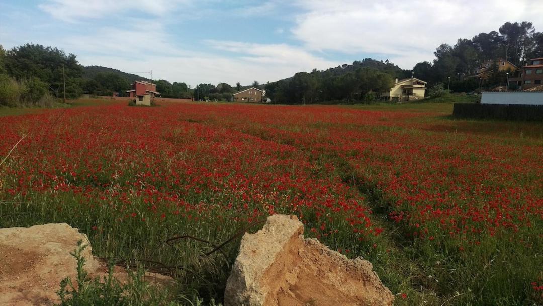 Photo of Others in Begues