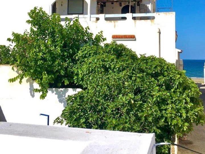 Photo of Others in Oued Laou