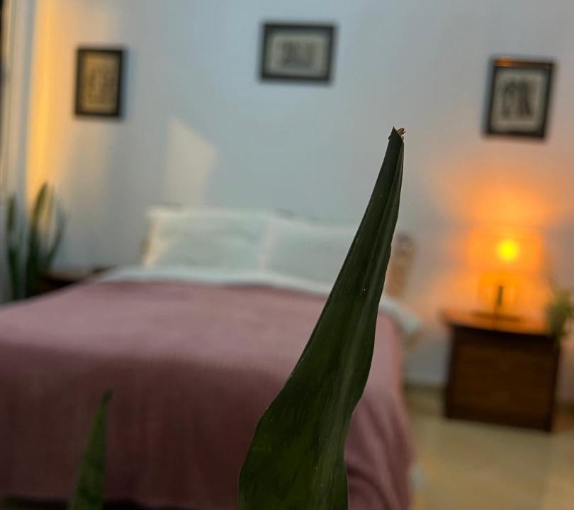 Photo of Bedroom in Casablanca City Center