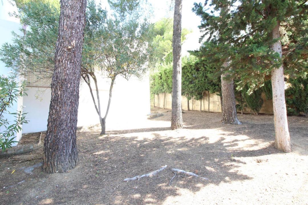 Photo of Others in Llanca