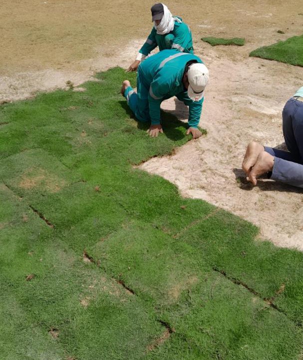 Photo of Others in Qetaa Maryout