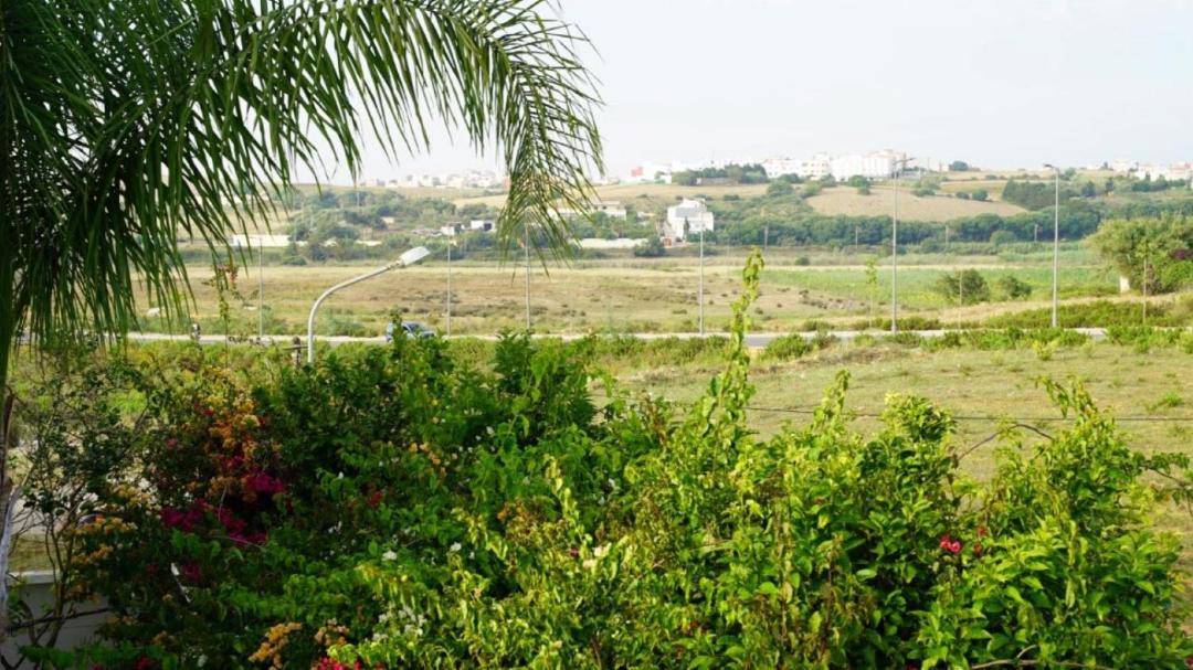 Photo of Others in Asilah