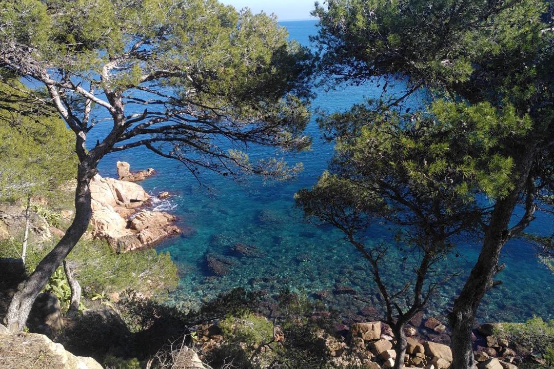 Photo of Others in Vall-Llobrega