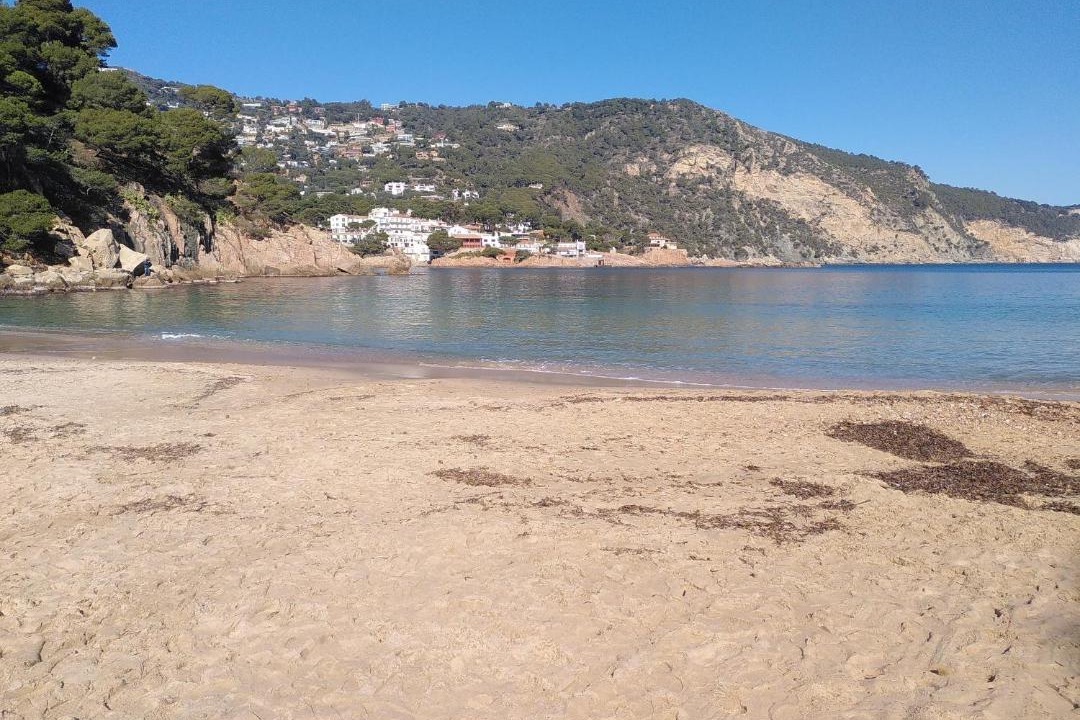 Photo of Others in Vall-Llobrega