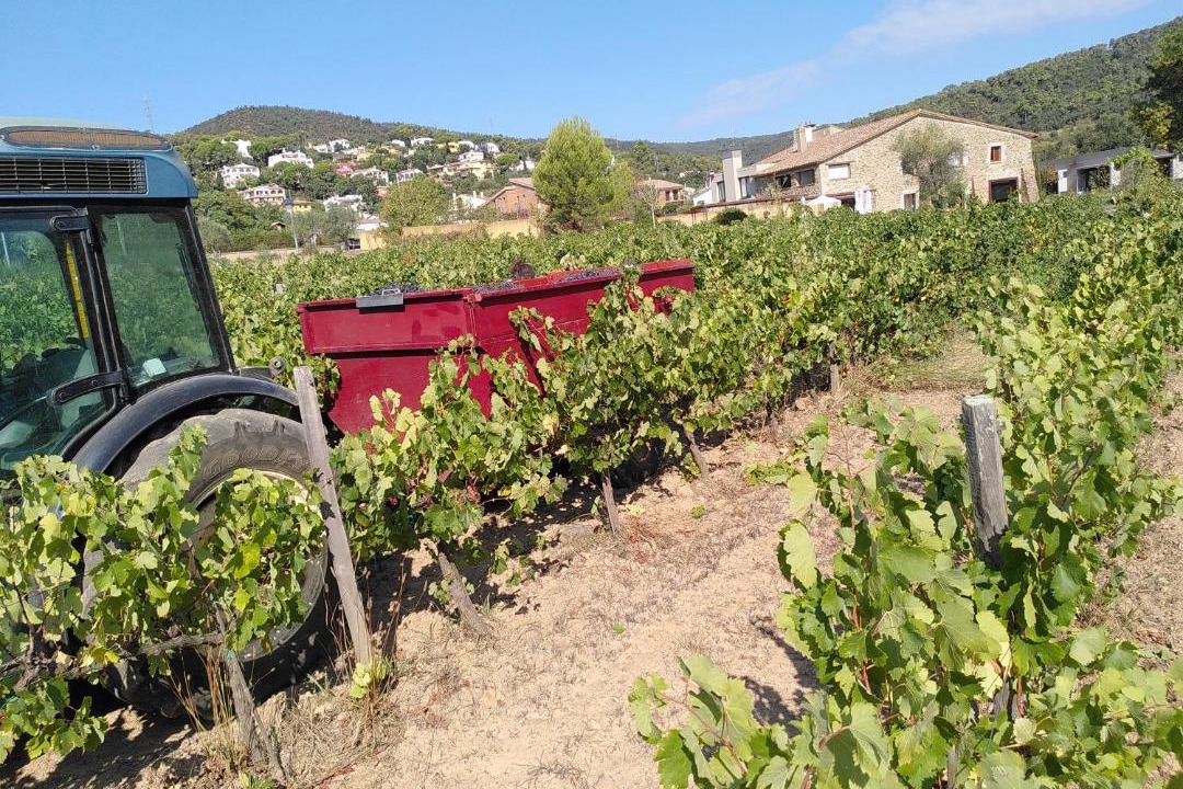 Photo of Others in Vall-Llobrega