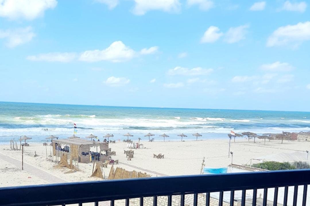 Photo of Others in Alexandria