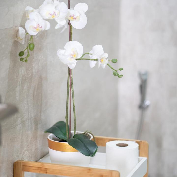 Photo of Bathroom in Anfa