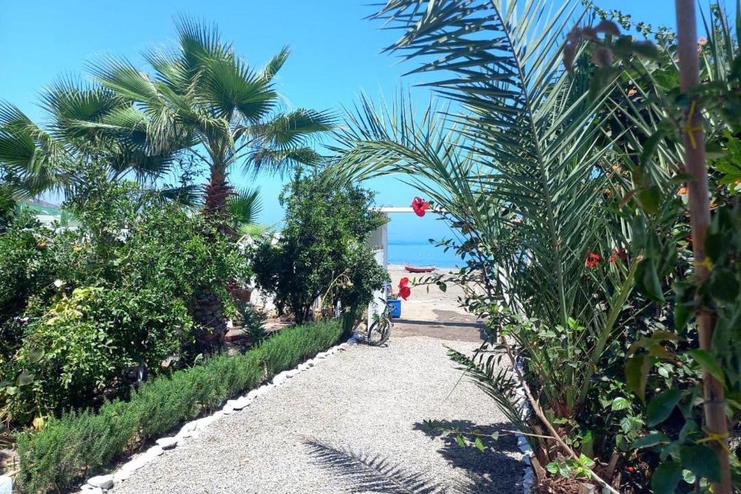 Photo of Others in Tizgane