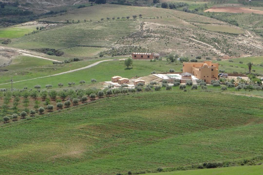 Photo of Others in Tafoughalt