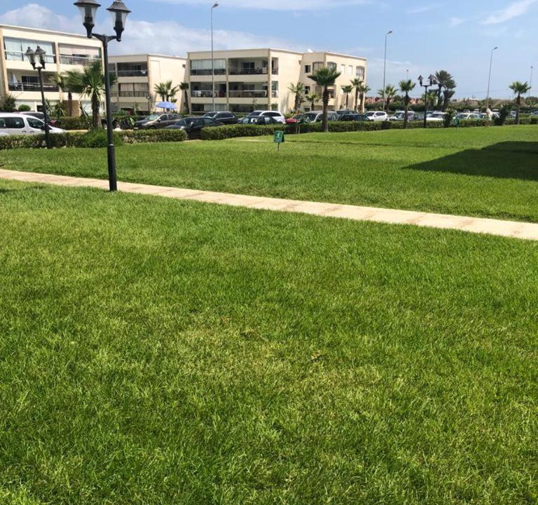 Photo of Others in Casablanca