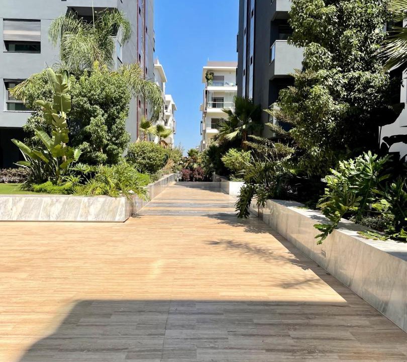 Photo of Buildings in Ain Chock