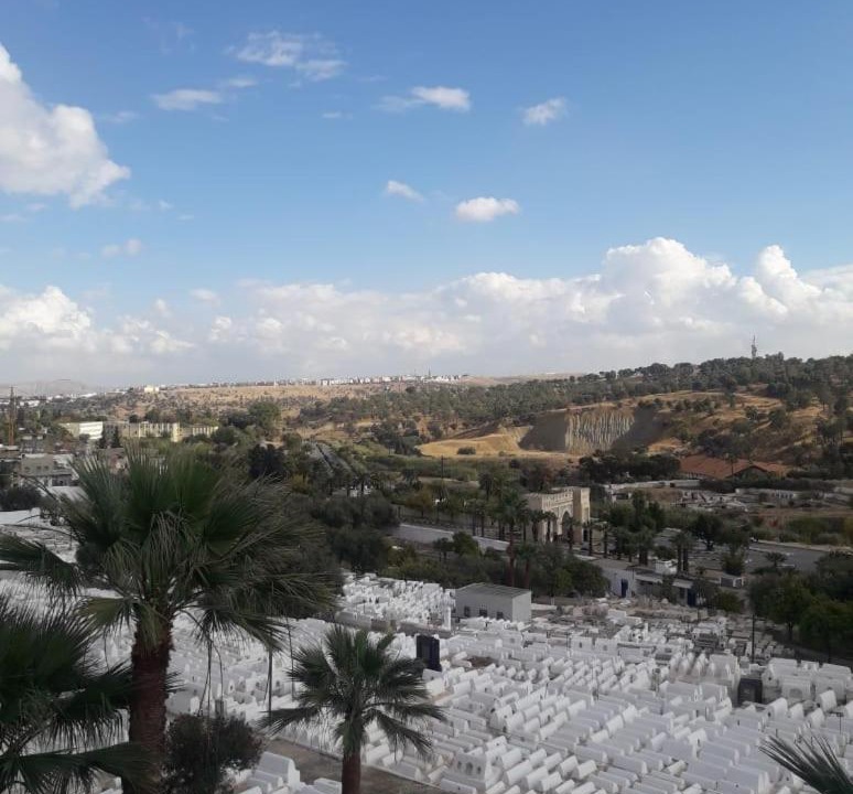 Photo of Others in Mellah