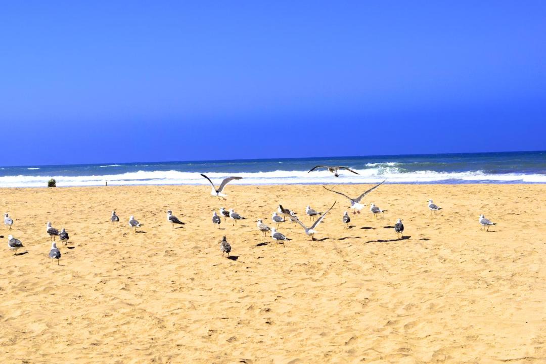 Photo of Others in Sidi Rahal