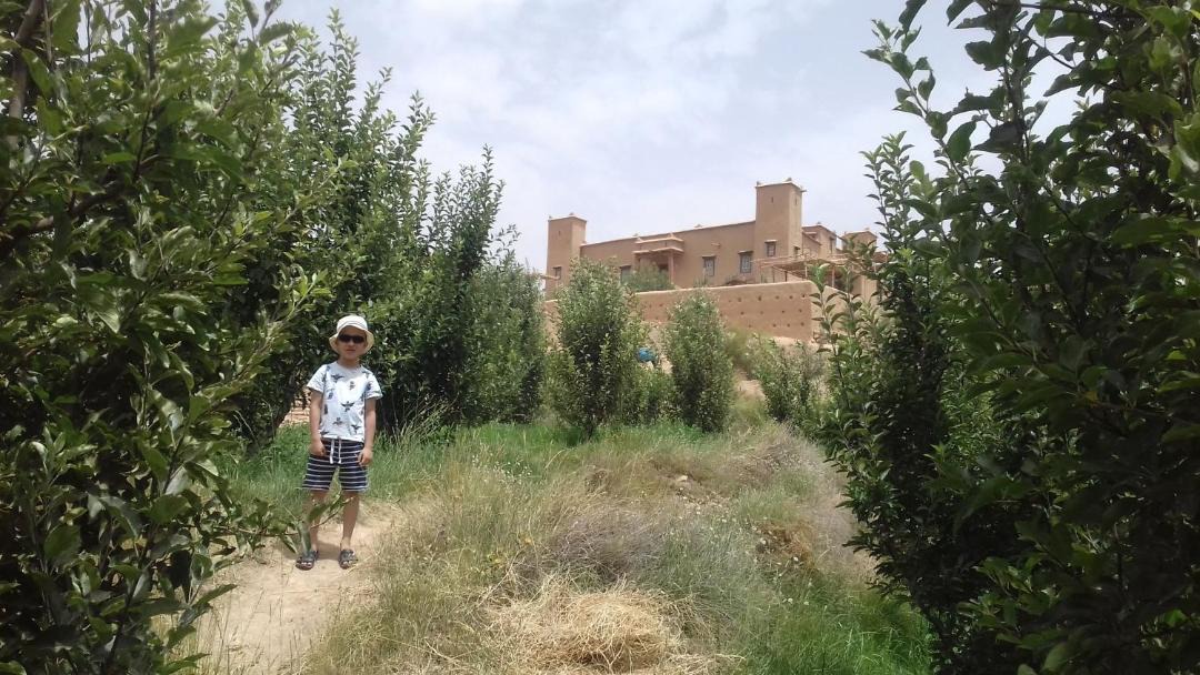 Photo of Others in Ait Izdeg