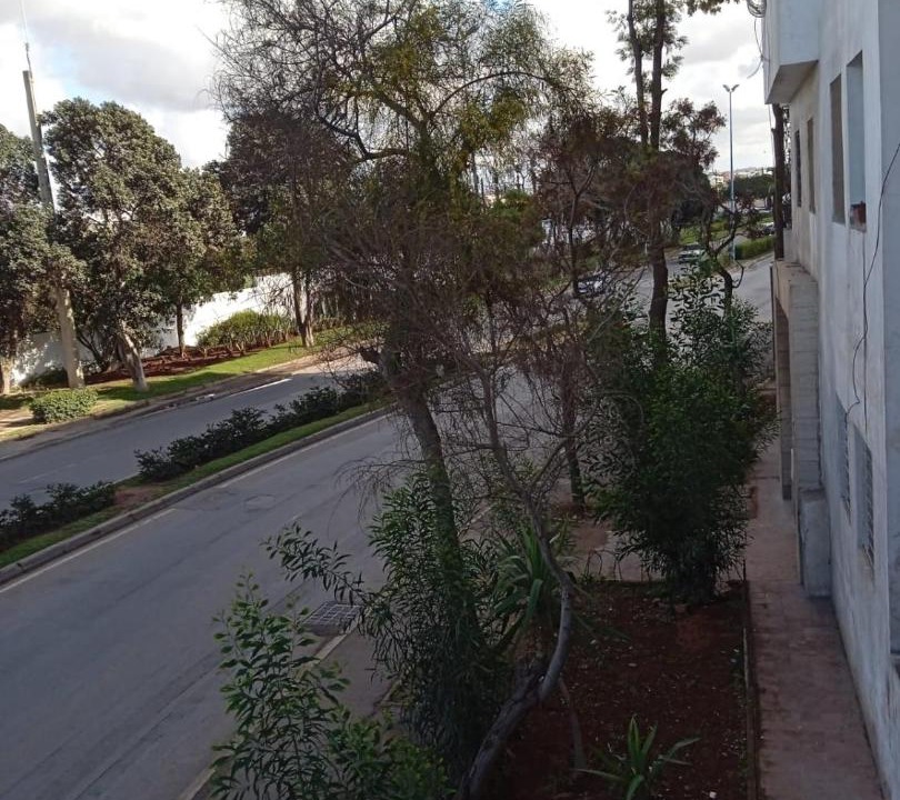 Photo of Others in Casablanca