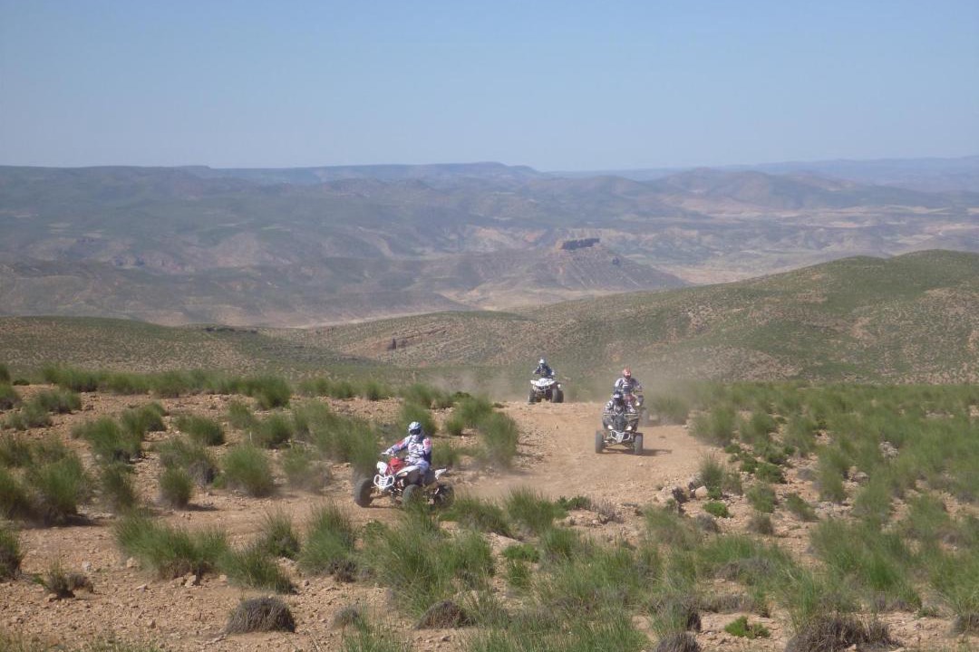 Photo of Others in Tafoughalt