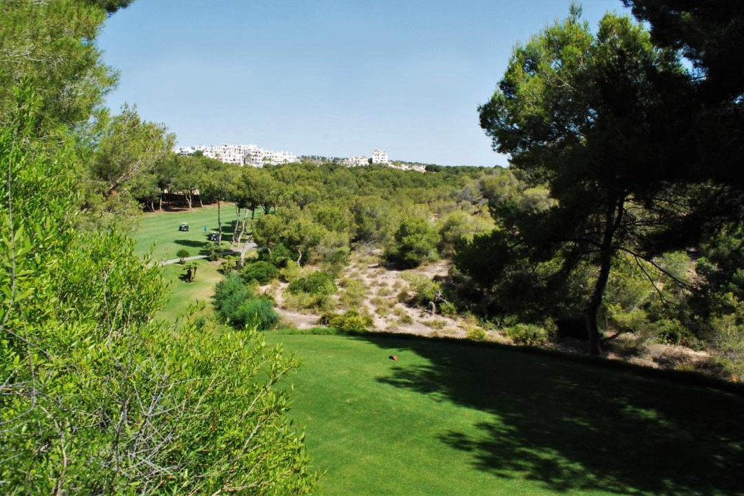 Photo of Others in Orihuela Costa