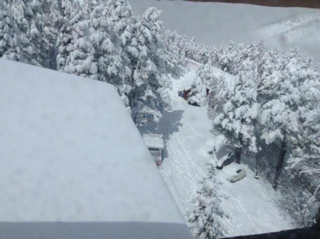 Photo of Others in La Molina