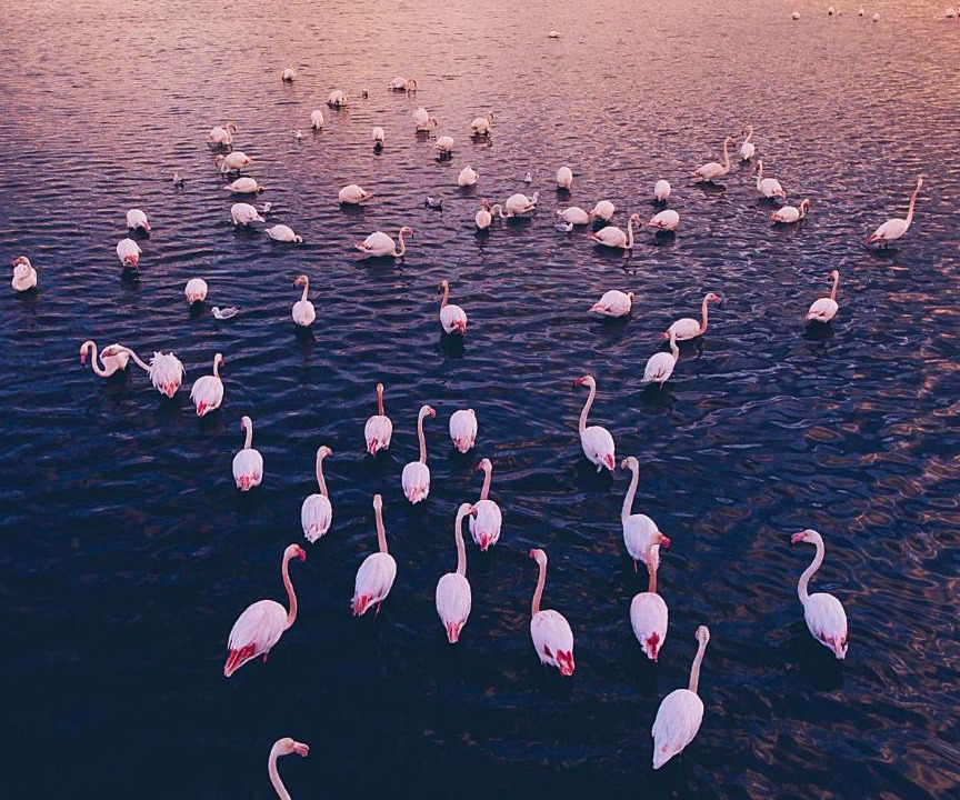 Photo of Others in Riumar