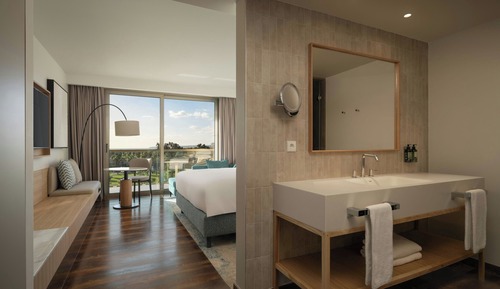 Family Room, 1 King Bed
