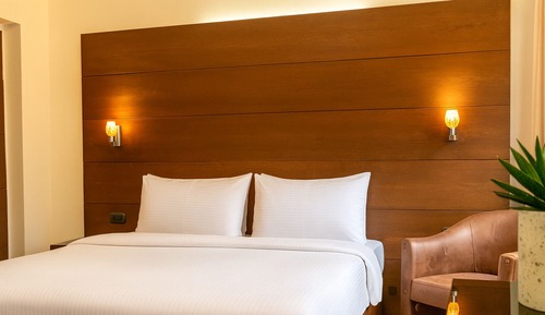 Standard Suite