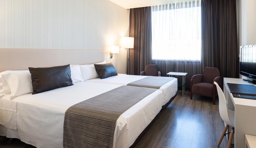 Double or Twin Room