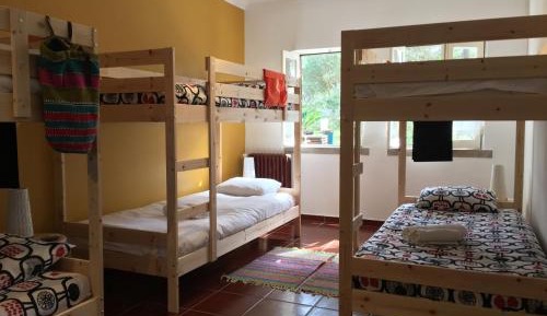 Bed in 6-Bed Mixed Dormitory Room