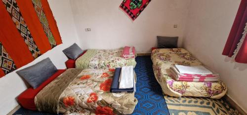 4-Bed Mixed Dormitory Room