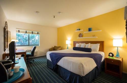Mountain View Hotel | Hotel Zico